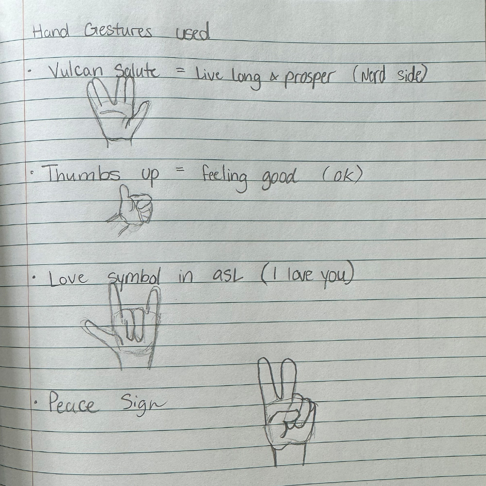 Notes the the kinds of hand gestures that I have used and or use on a daily basis.